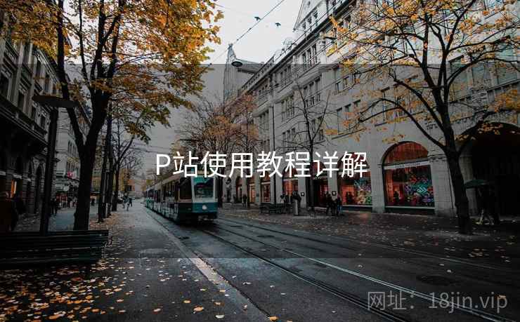 P站使用教程详解  第2张