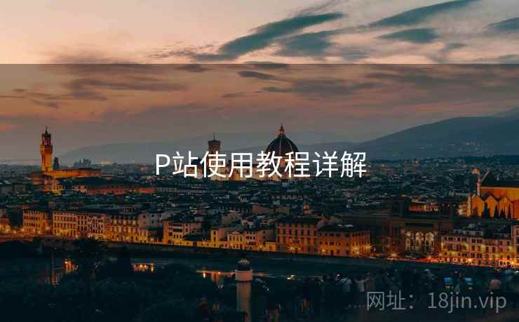 P站使用教程详解  第1张