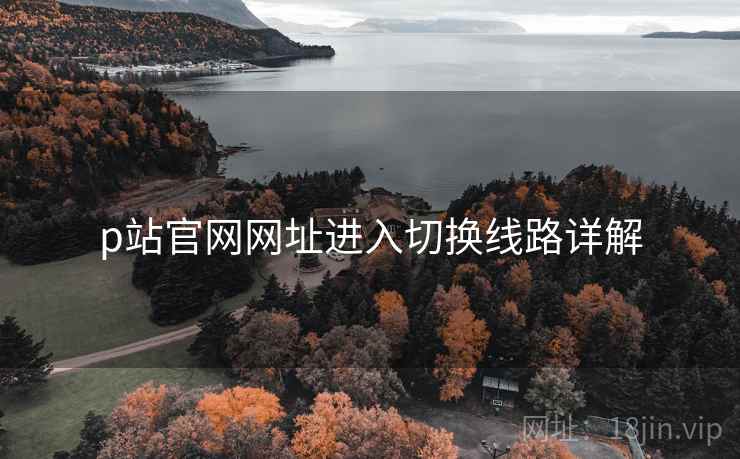 p站官网网址进入切换线路详解  第1张