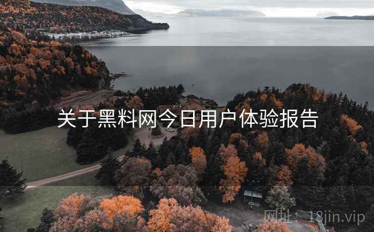 关于黑料网今日用户体验报告  第1张