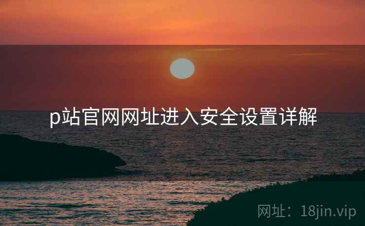 p站官网网址进入安全设置详解  第1张