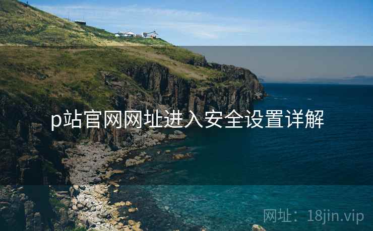 p站官网网址进入安全设置详解  第2张