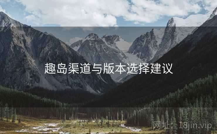趣岛渠道与版本选择建议  第1张