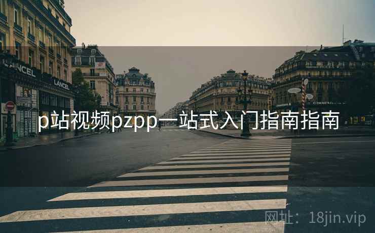 p站视频pzpp一站式入门指南指南  第1张