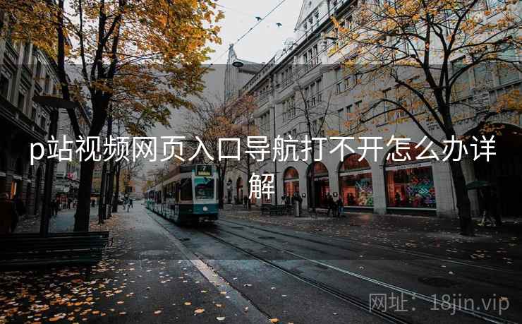 p站视频网页入口导航打不开怎么办详解