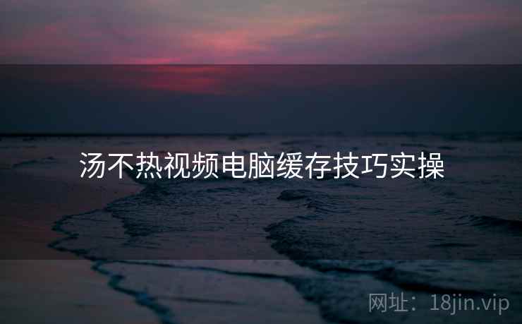 汤不热视频电脑缓存技巧实操  第2张
