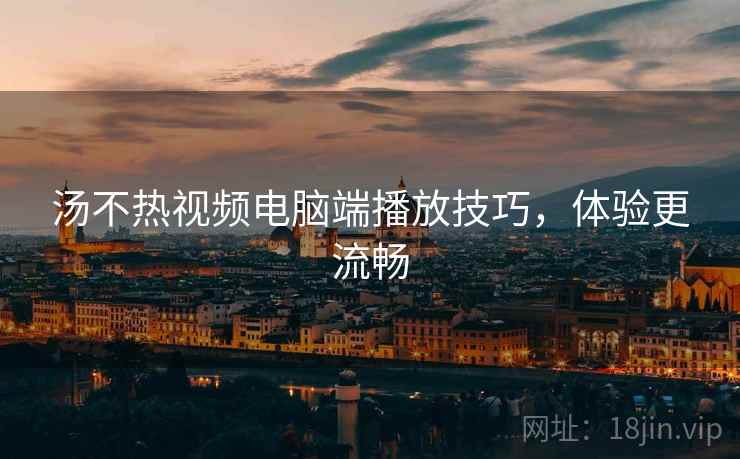汤不热视频电脑端播放技巧，体验更流畅  第2张