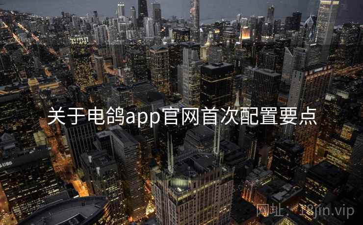关于电鸽app官网首次配置要点  第2张