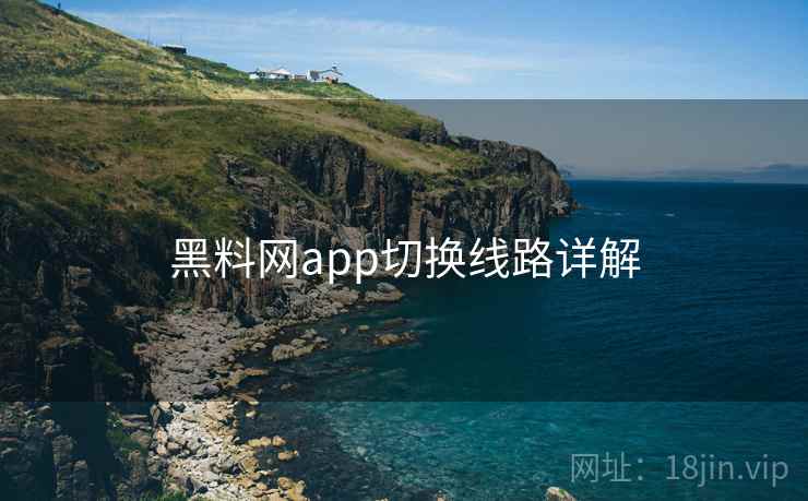 黑料网app切换线路详解  第2张