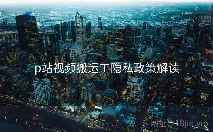 p站视频搬运工隐私政策解读  第2张