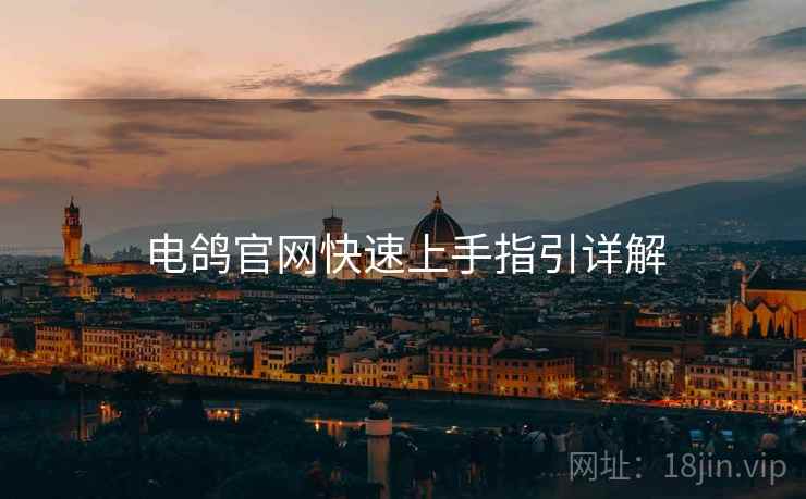 电鸽官网快速上手指引详解  第1张