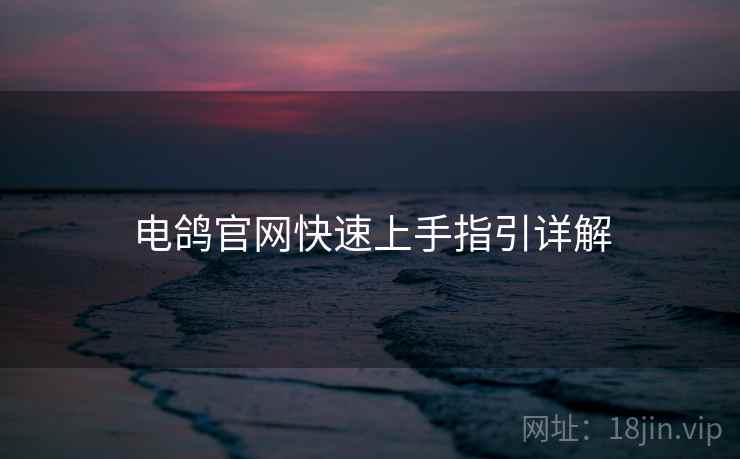 电鸽官网快速上手指引详解  第2张