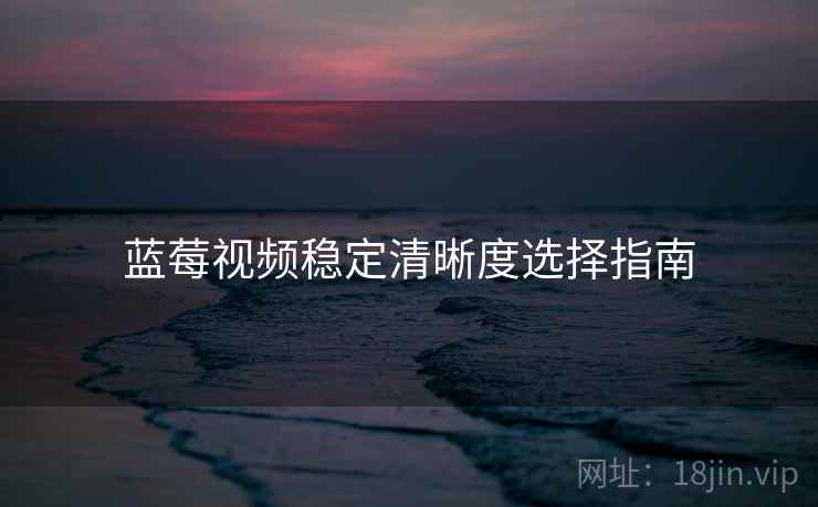 蓝莓视频稳定清晰度选择指南  第2张