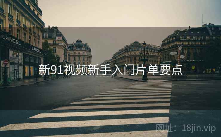 新91视频新手入门片单要点  第1张