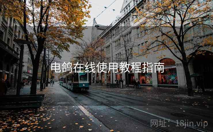 电鸽在线使用教程指南  第1张