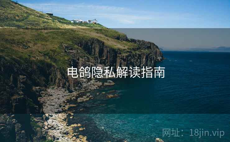电鸽隐私解读指南  第1张