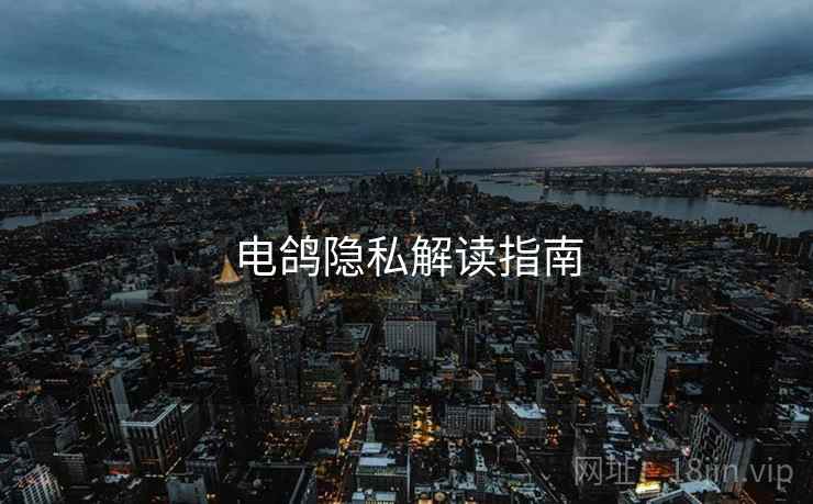 电鸽隐私解读指南  第2张