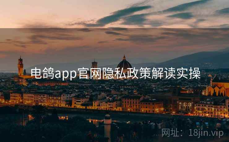 电鸽app官网隐私政策解读实操  第2张