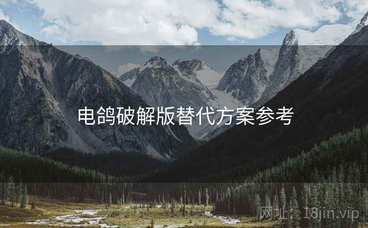 电鸽破解版替代方案参考  第1张