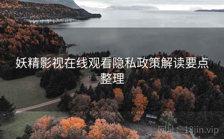 妖精影视在线观看隐私政策解读要点整理  第2张