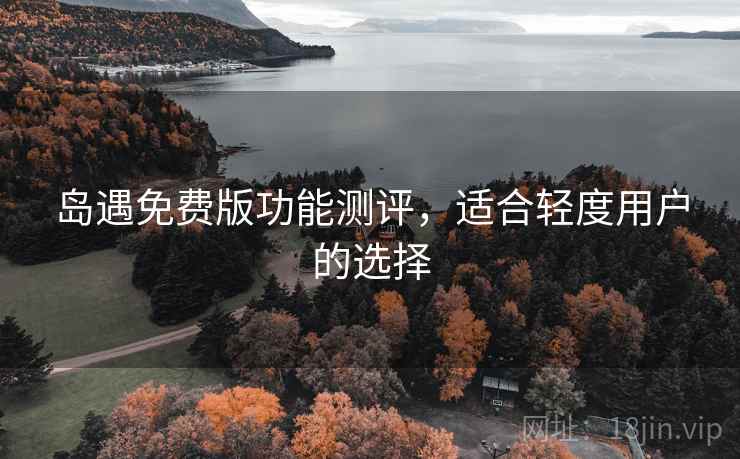 岛遇免费版功能测评，适合轻度用户的选择  第3张