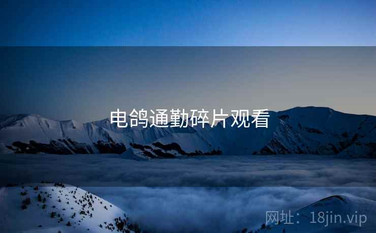 电鸽通勤碎片观看  第2张