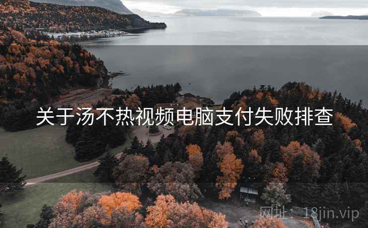 关于汤不热视频电脑支付失败排查  第1张