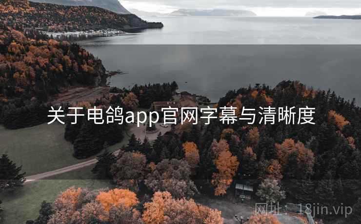 关于电鸽app官网字幕与清晰度  第2张